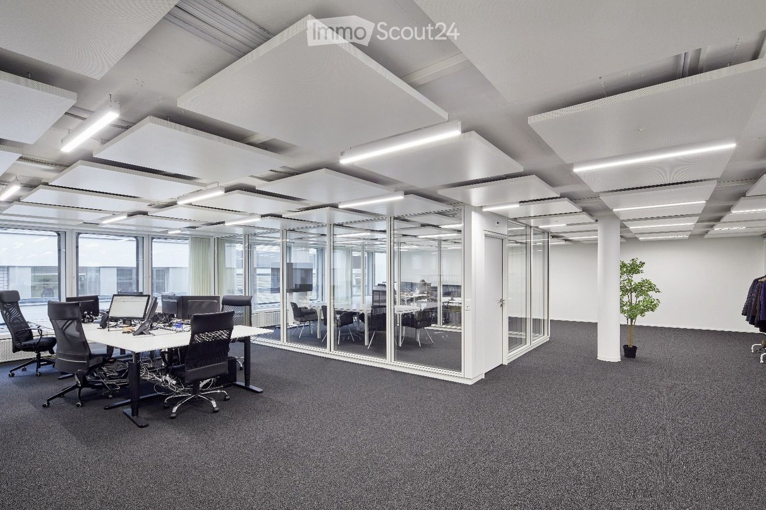 modern office with glass walls, grey carpeting, tables, chairs, large windows, ceiling lights, potted plant, interior design elements
