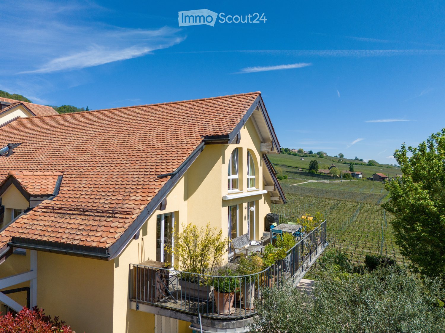 yellow house, red roof, balcony with plants, vineyard in the background