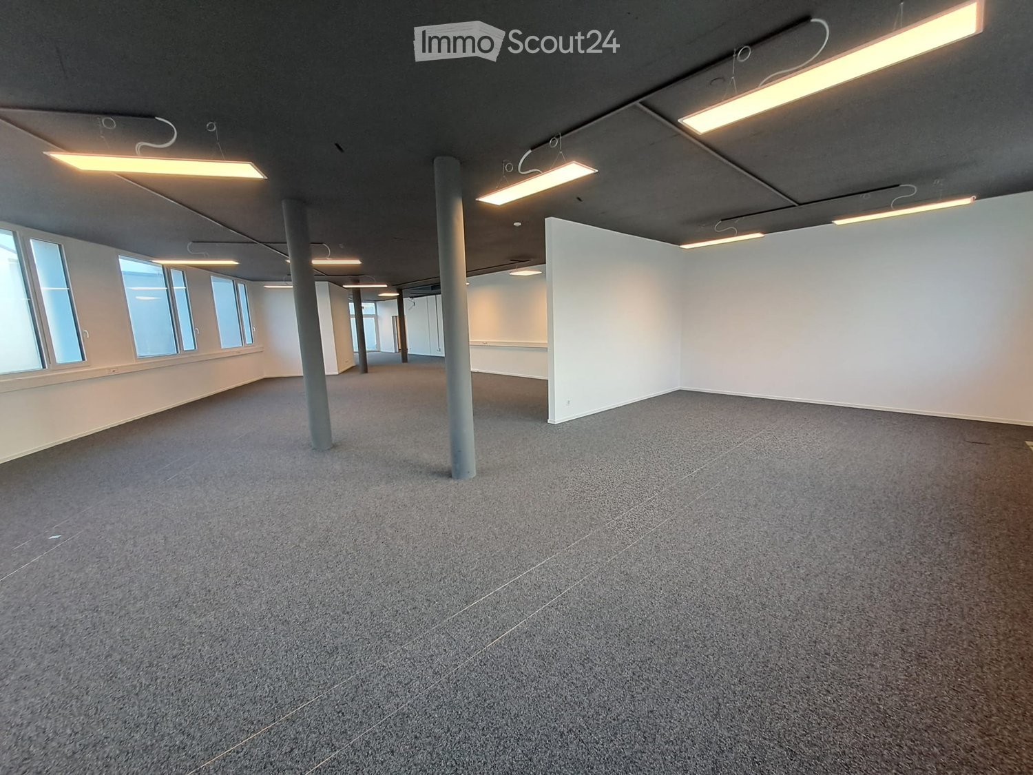 Empty room with grey carpeted floor, white walls, large windows, and industrial-style lighting fixtures.