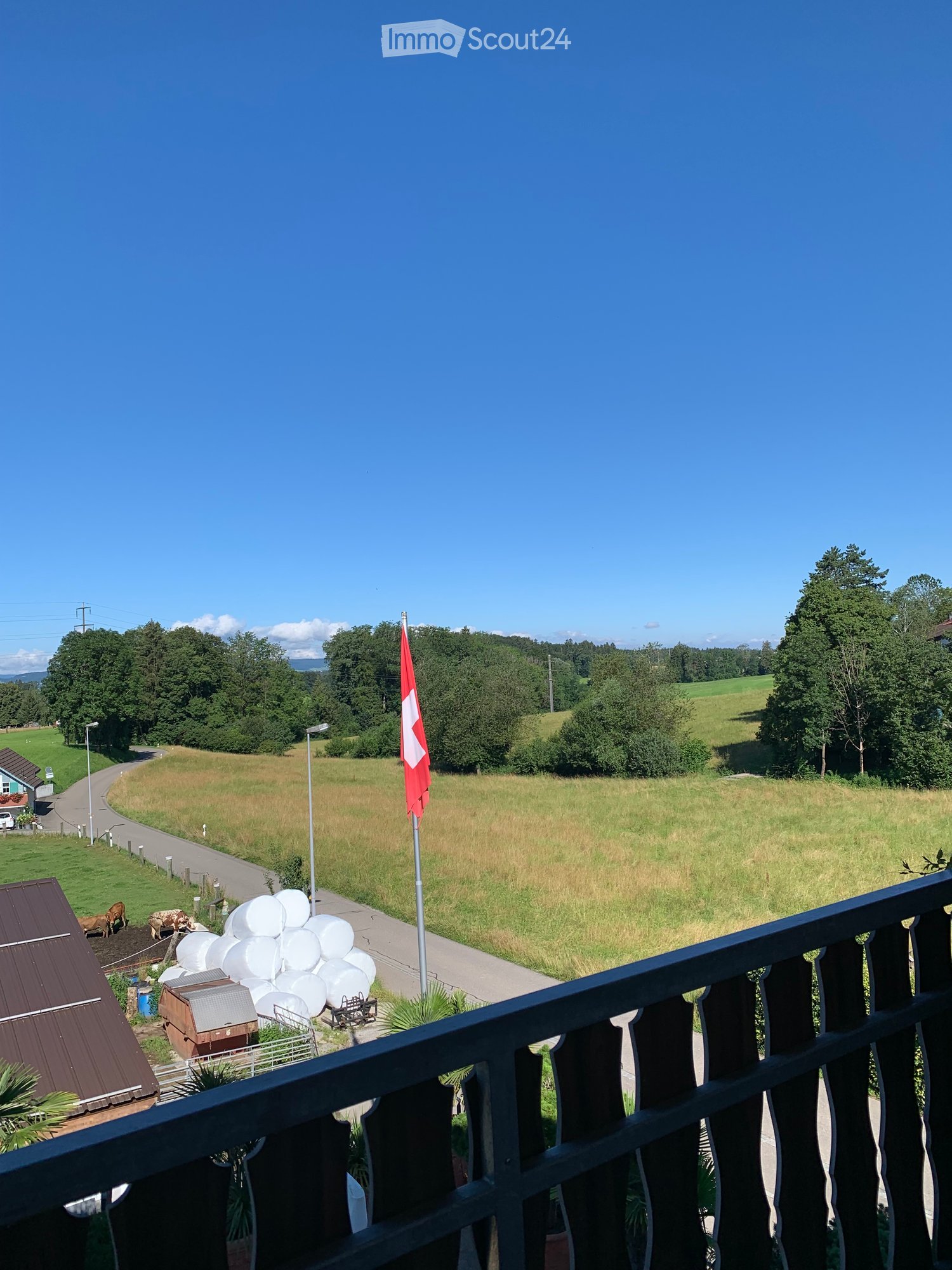Balcony / Terrace. Balcony overlooking a rural landscape with a flagpole, cows, and a road.