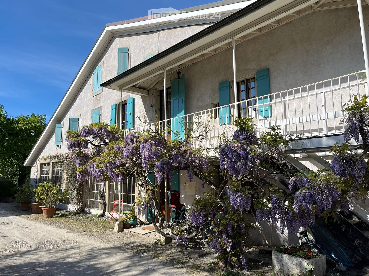 Building. Two-story house with grey stone facade, teal shutters, and a covered balcony adorned with blooming wisteria. The entrance features a bicycle and potted plants.