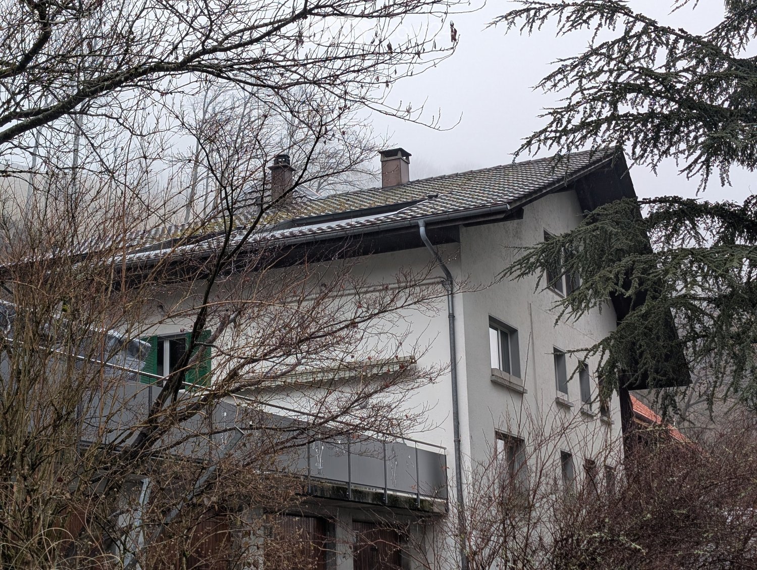 House. A two-story house with white walls, multiple windows, and a tiled roof, partially obscured by trees and branches.