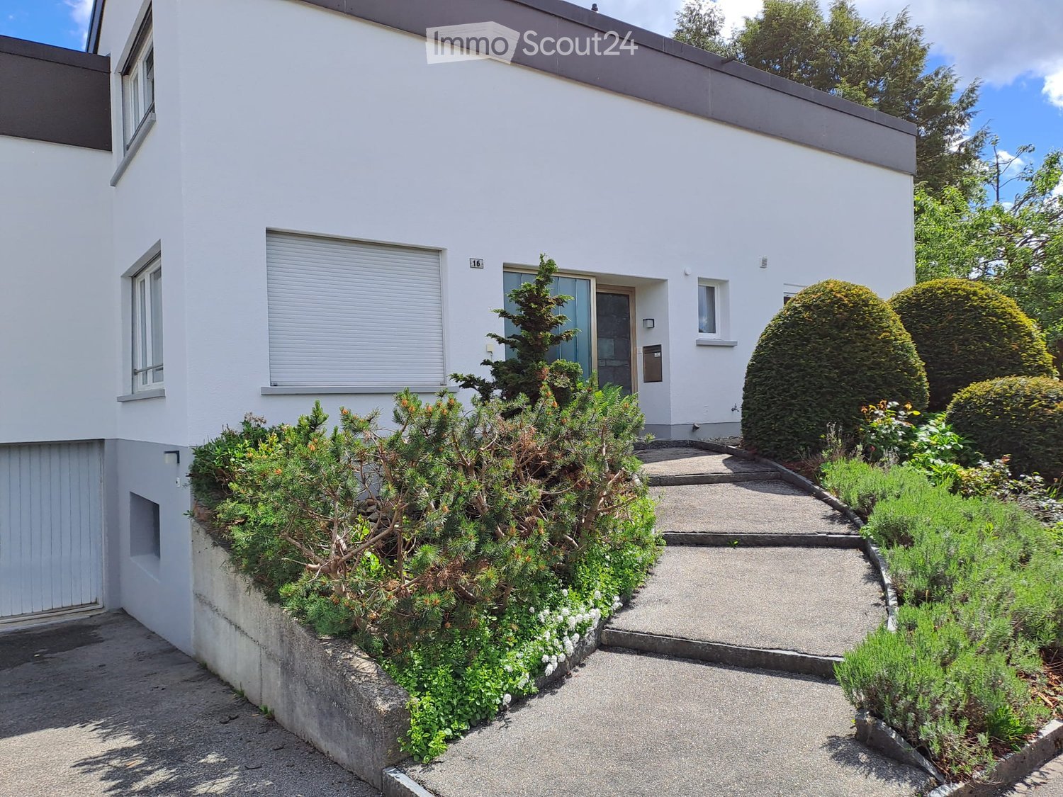 House. Modern two-story house with white exterior, grey roof, multiple windows, and well-maintained garden with shrubs and a pathway.