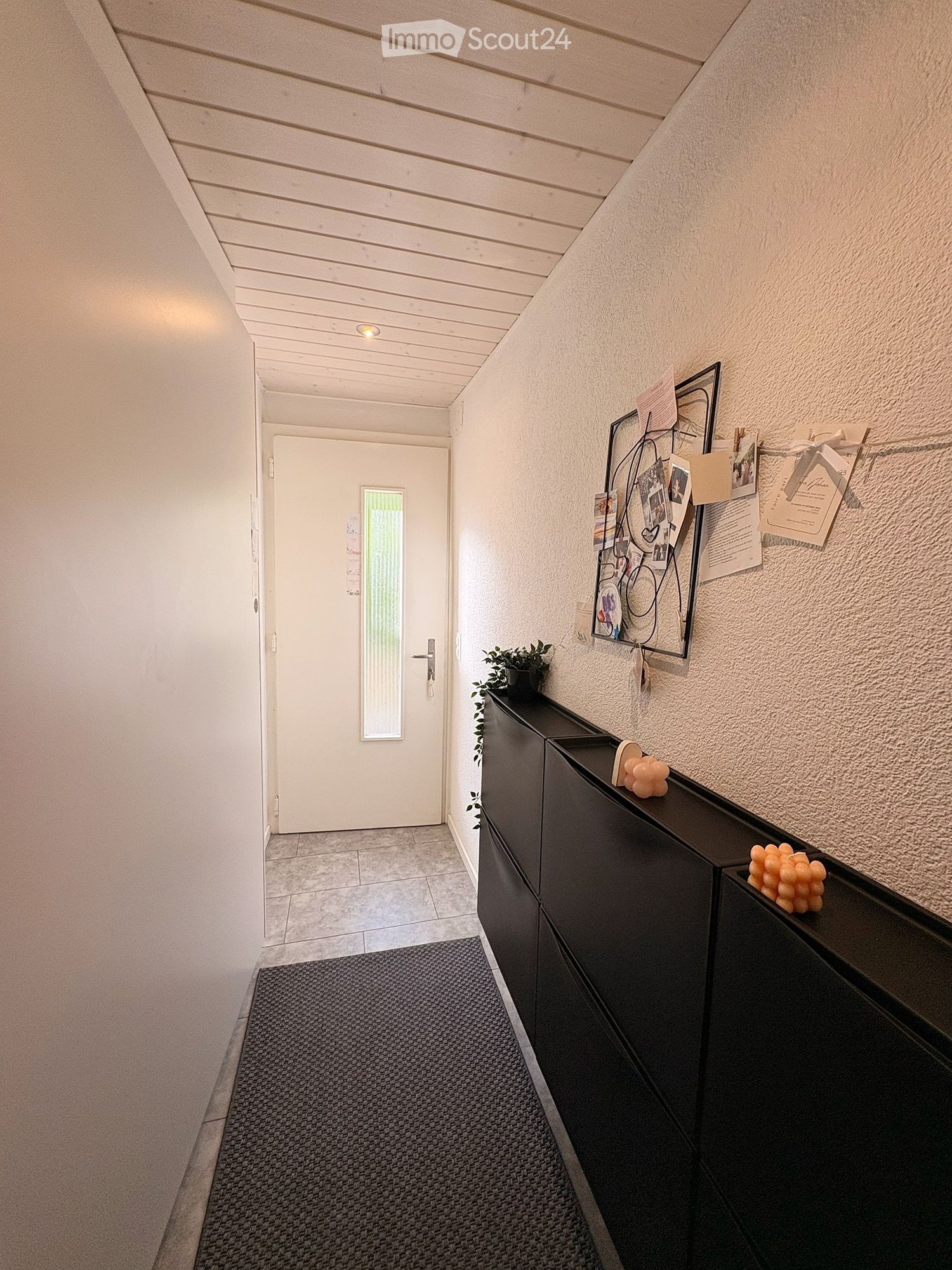 Hallway with a black console table, small plant, and a door leading to another room.