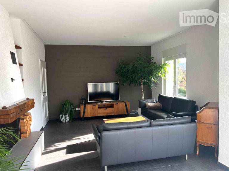 Modern living room with dark grey walls, a large flat-screen TV on a wooden cabinet, a grey leather sofa, a coffee table, and a potted plant near the window.