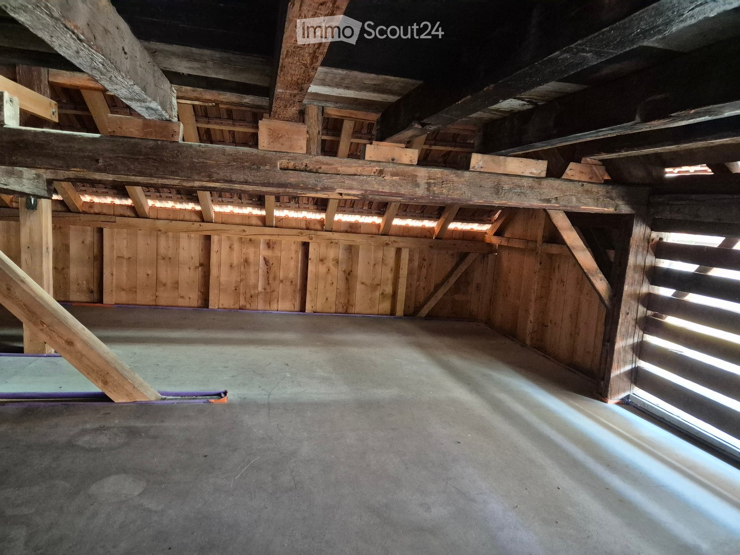 An empty attic space with exposed wooden beams and concrete floor, featuring natural light from small windows and a wooden ramp leading to another level.