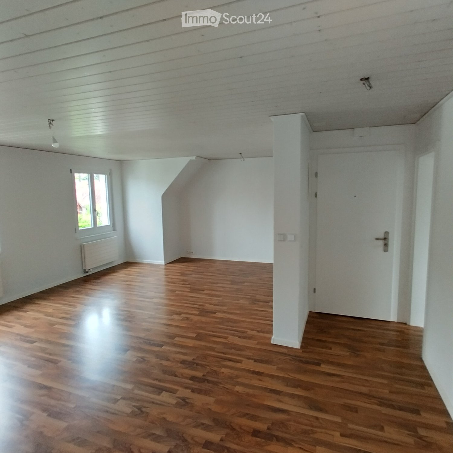 empty room with hardwood floors, white walls, white ceiling, white door, window, radiator