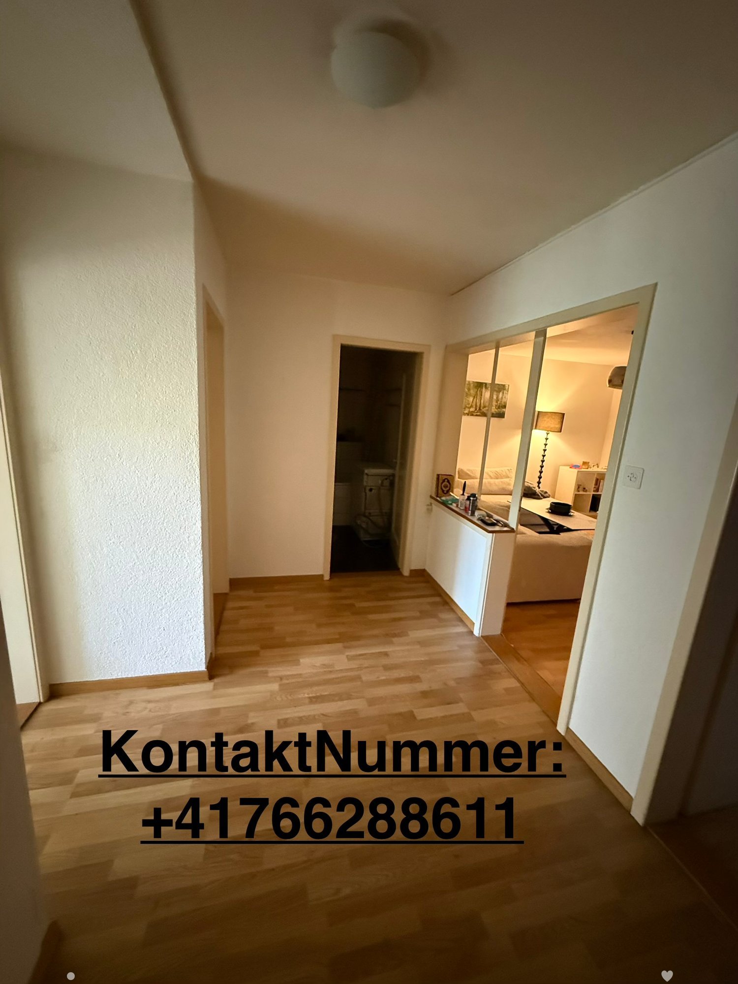 A narrow hallway with wooden flooring, leading to a bedroom and a bathroom. The bedroom features a bed, nightstand, and lamp, while the bathroom has a toilet and sink.