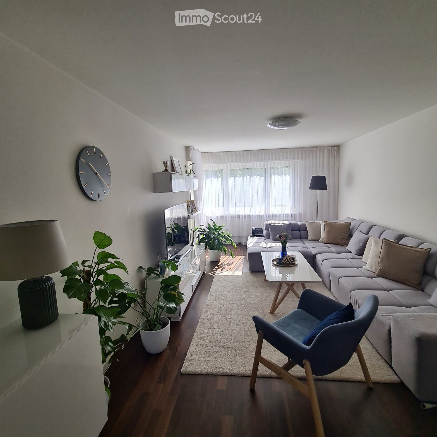 Modern living room with a grey sectional sofa, coffee table, blue armchair, TV stand, and decorative plants.