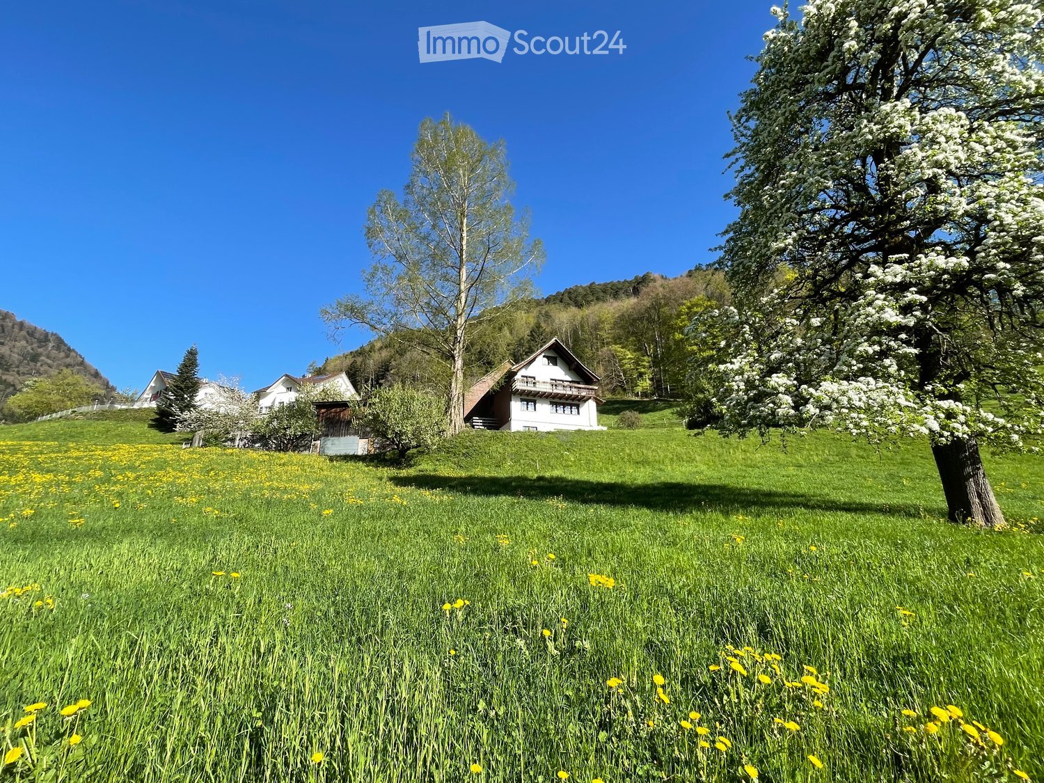 A peaceful countryside scene with a grassy field dotted with yellow flowers, a blooming tree, and a traditional house with a balcony in the background.
