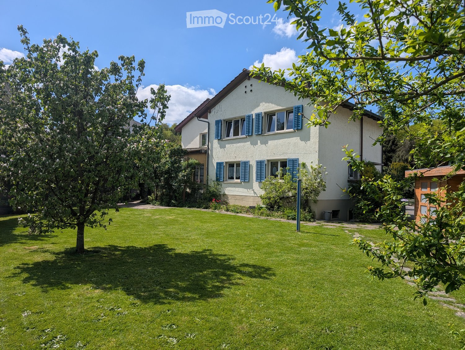 A well-maintained garden with a lawn, trees, and a two-story house with white walls and blue shutters in the background.