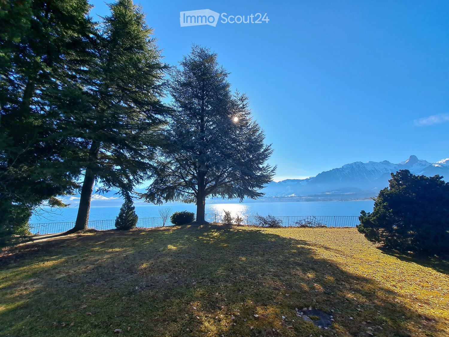open area with several trees, fence, grassy ground, lake, mountain view
