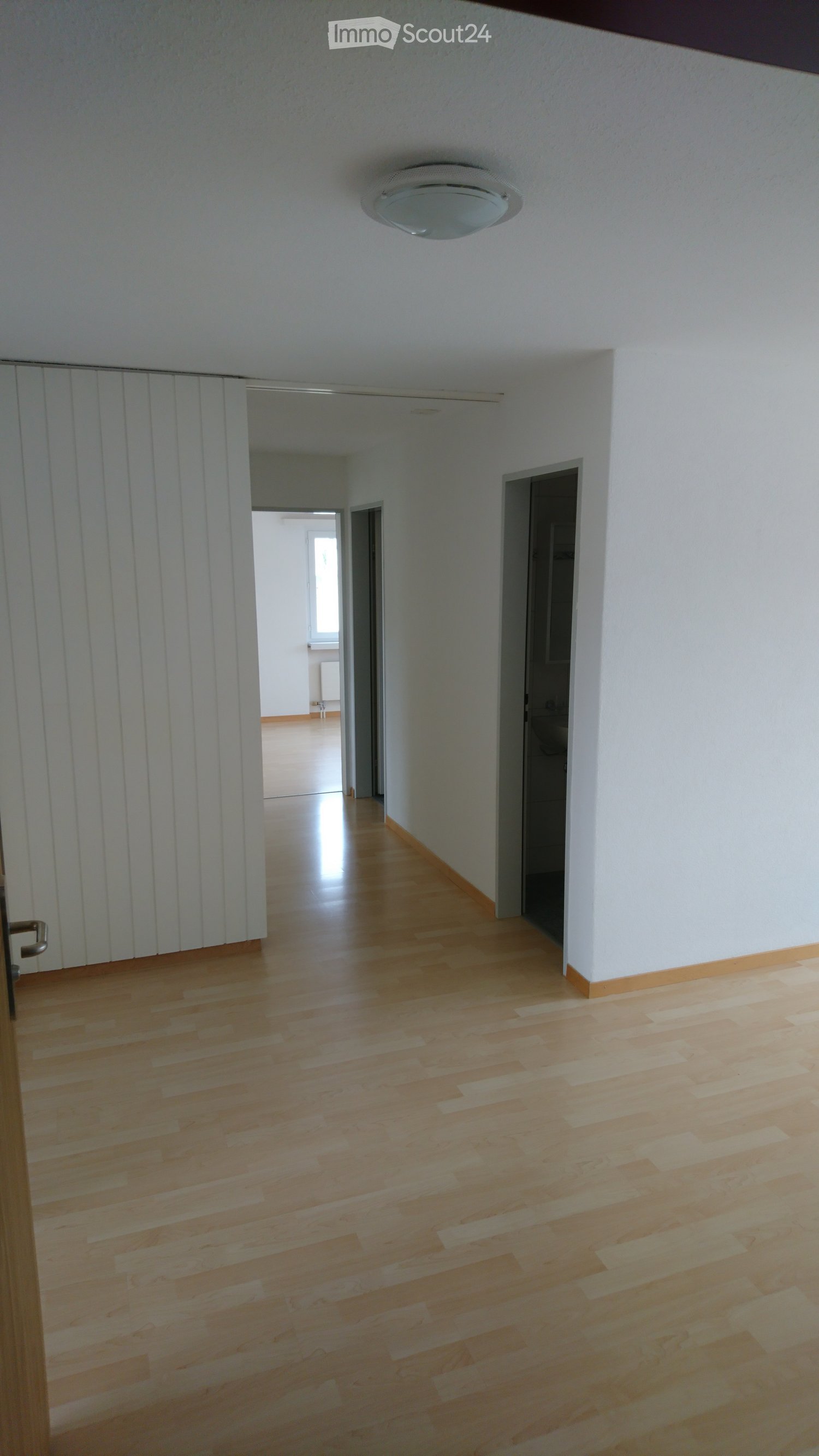 Empty hallway with light wooden flooring, white walls, and a ceiling light fixture. Doors lead to adjacent rooms.