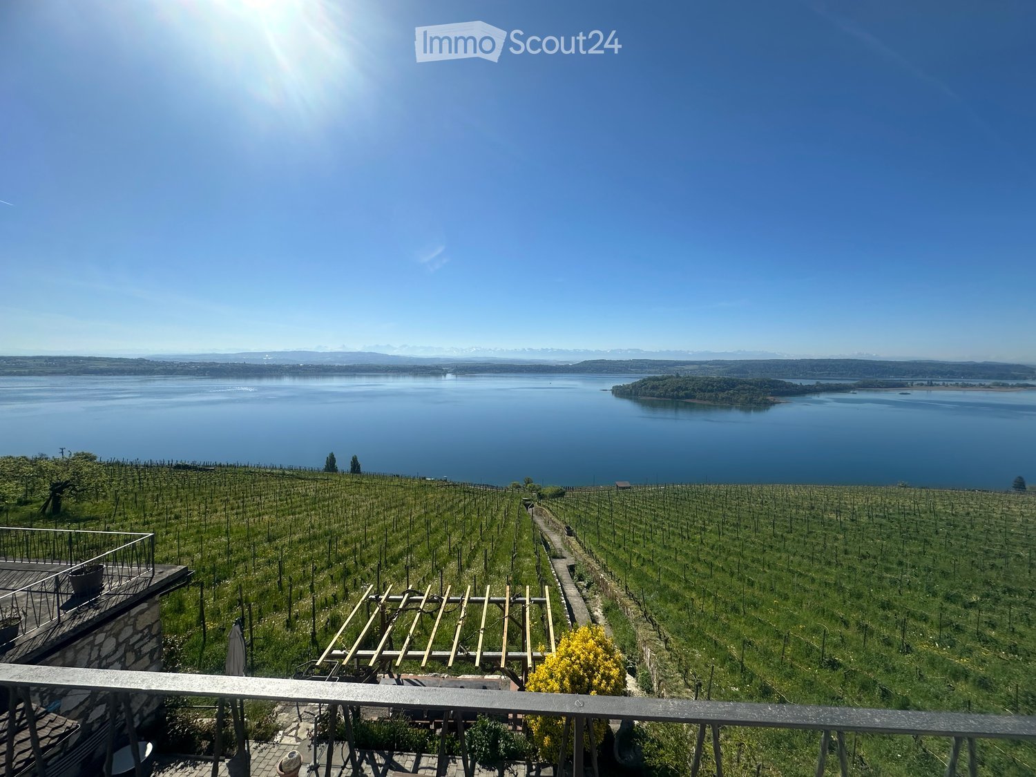 Balcony overlooking a vineyard with a panoramic view of a lake and distant mountains.