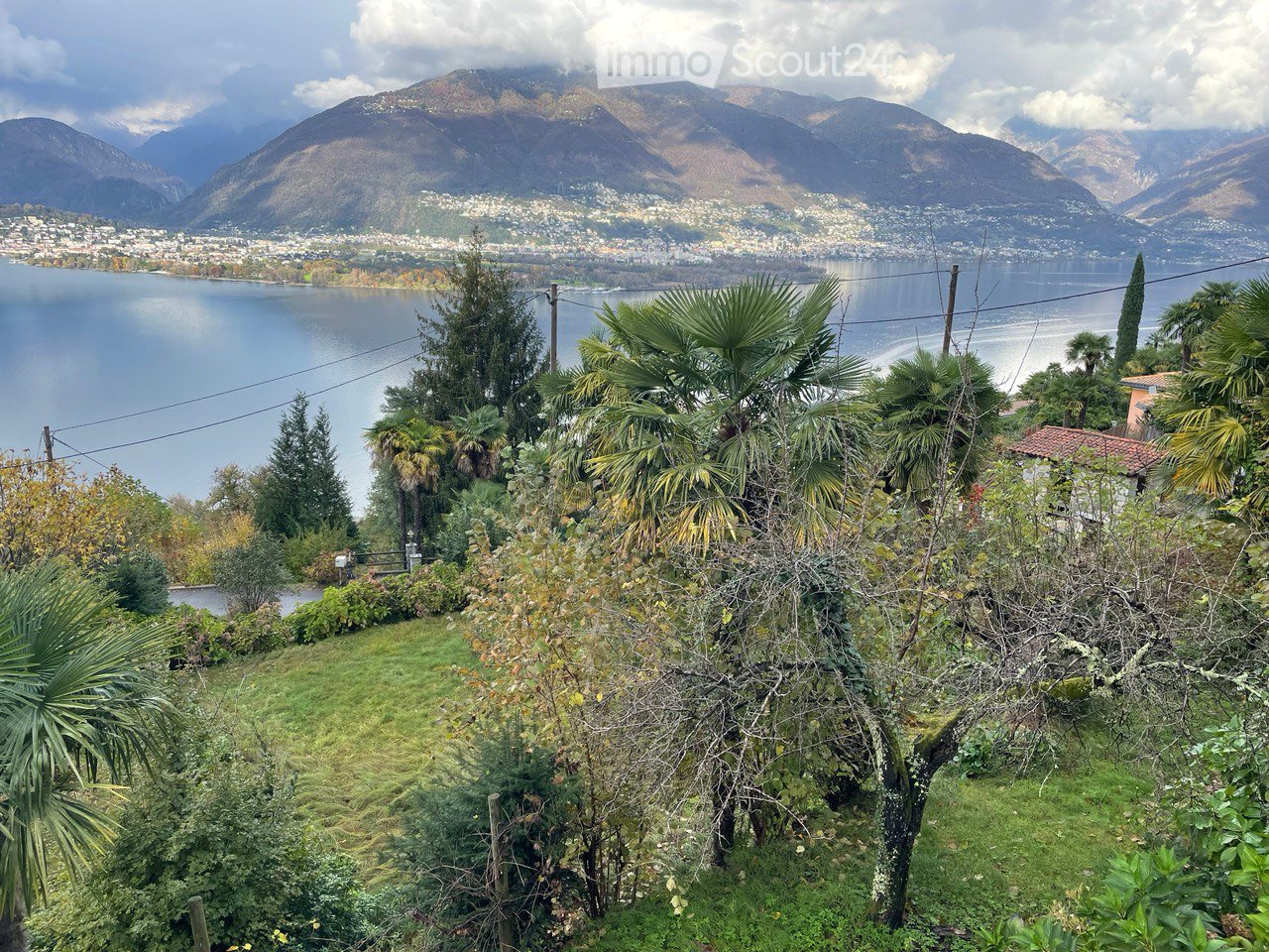A lush garden with palm trees and shrubs, overlooking a serene lake and distant mountains.