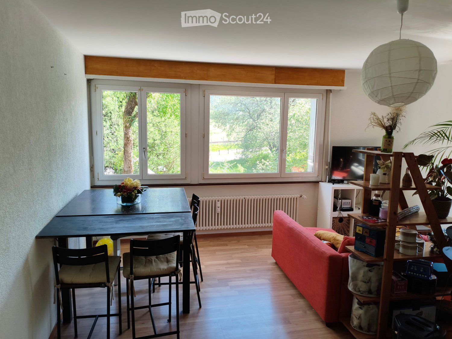 A modern living room with a red sofa, a black dining table with chairs, a television on a stand, and a wooden shelf with decorative items and plants.