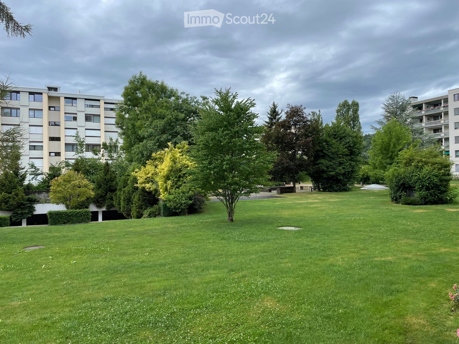 Well-maintained lawn with trees and shrubs, surrounded by multi-story residential buildings.