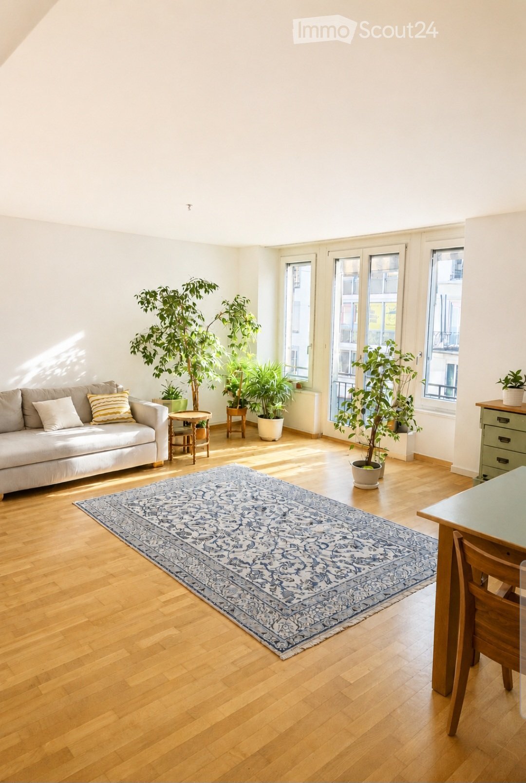 Bright living room with wooden flooring, large windows, a patterned rug, a sofa with cushions, a small table, and several potted plants.