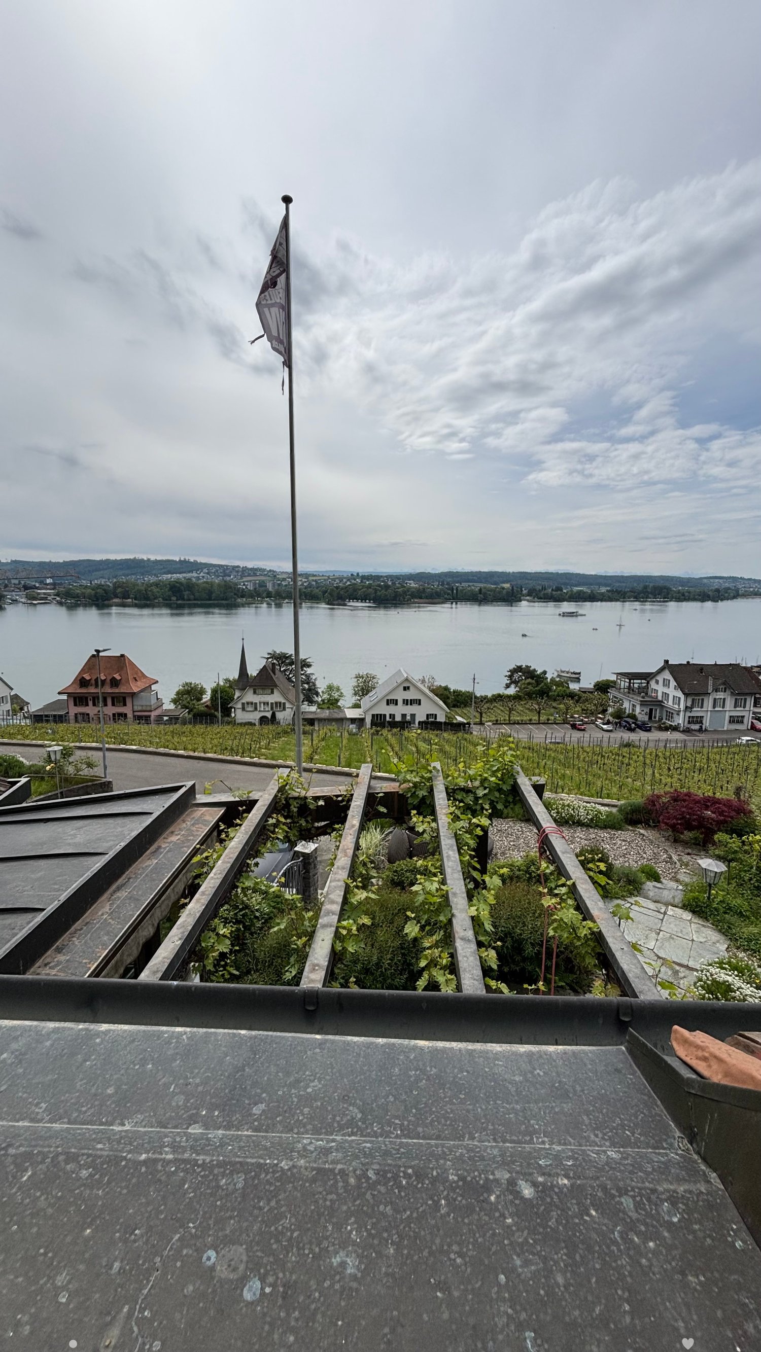 Roof terrace with gravel surface, small garden beds with plants, flagpole, and scenic view of a lake and town.