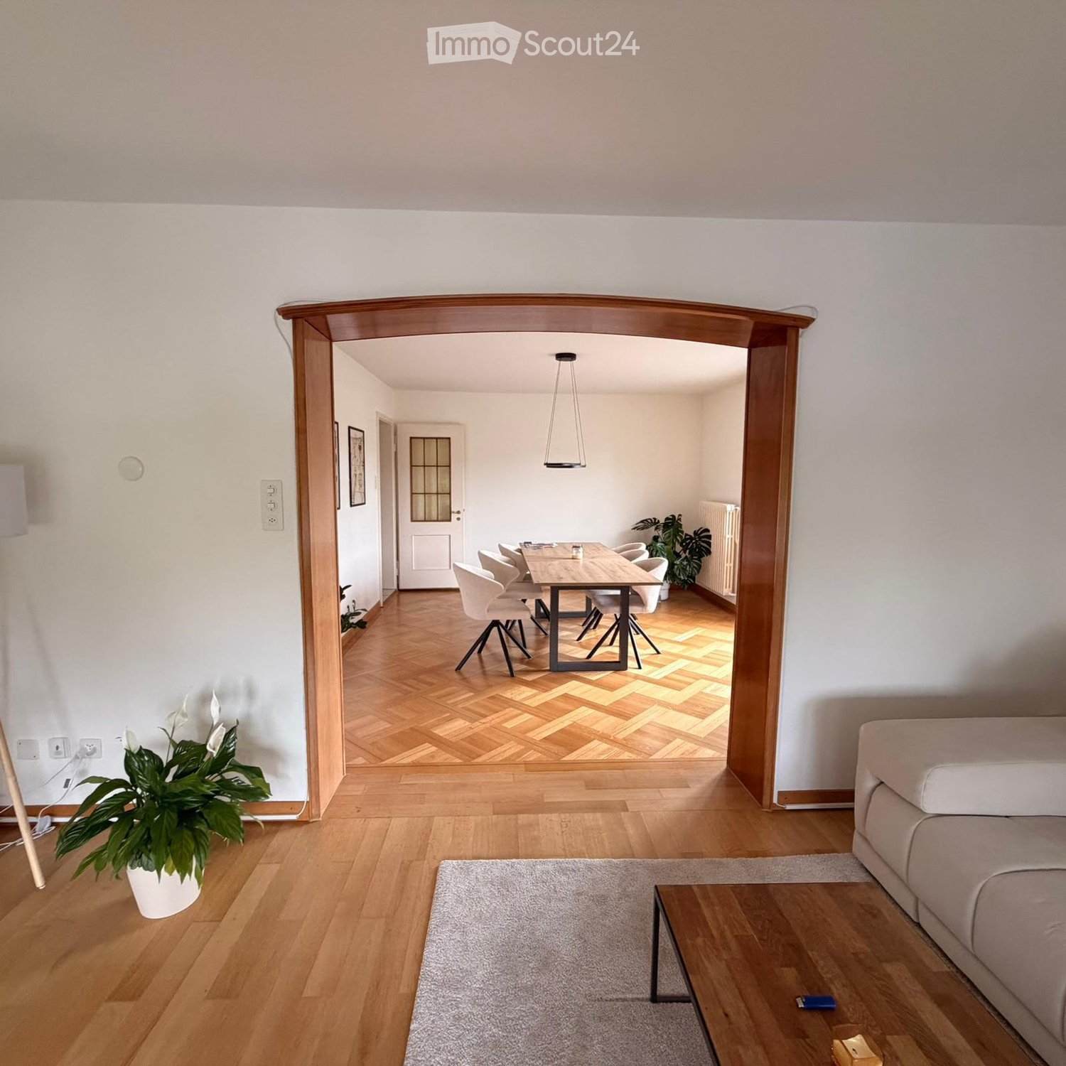 Living room with a sofa, coffee table, dining area with a table and chairs, and potted plants.