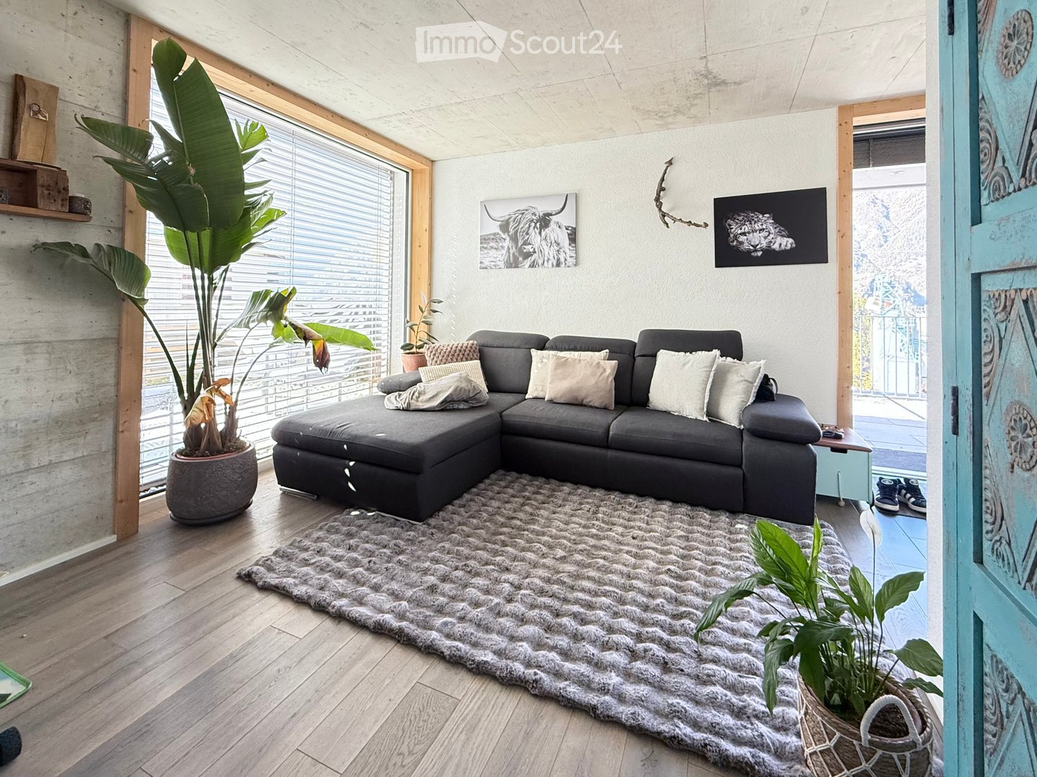 Large L-shaped sofa, gray rug, plants, white walls, balcony