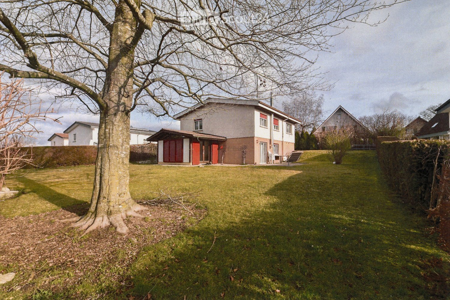 A well-maintained garden with a large tree, a modern house with red shutters, and a raised ground floor entrance.