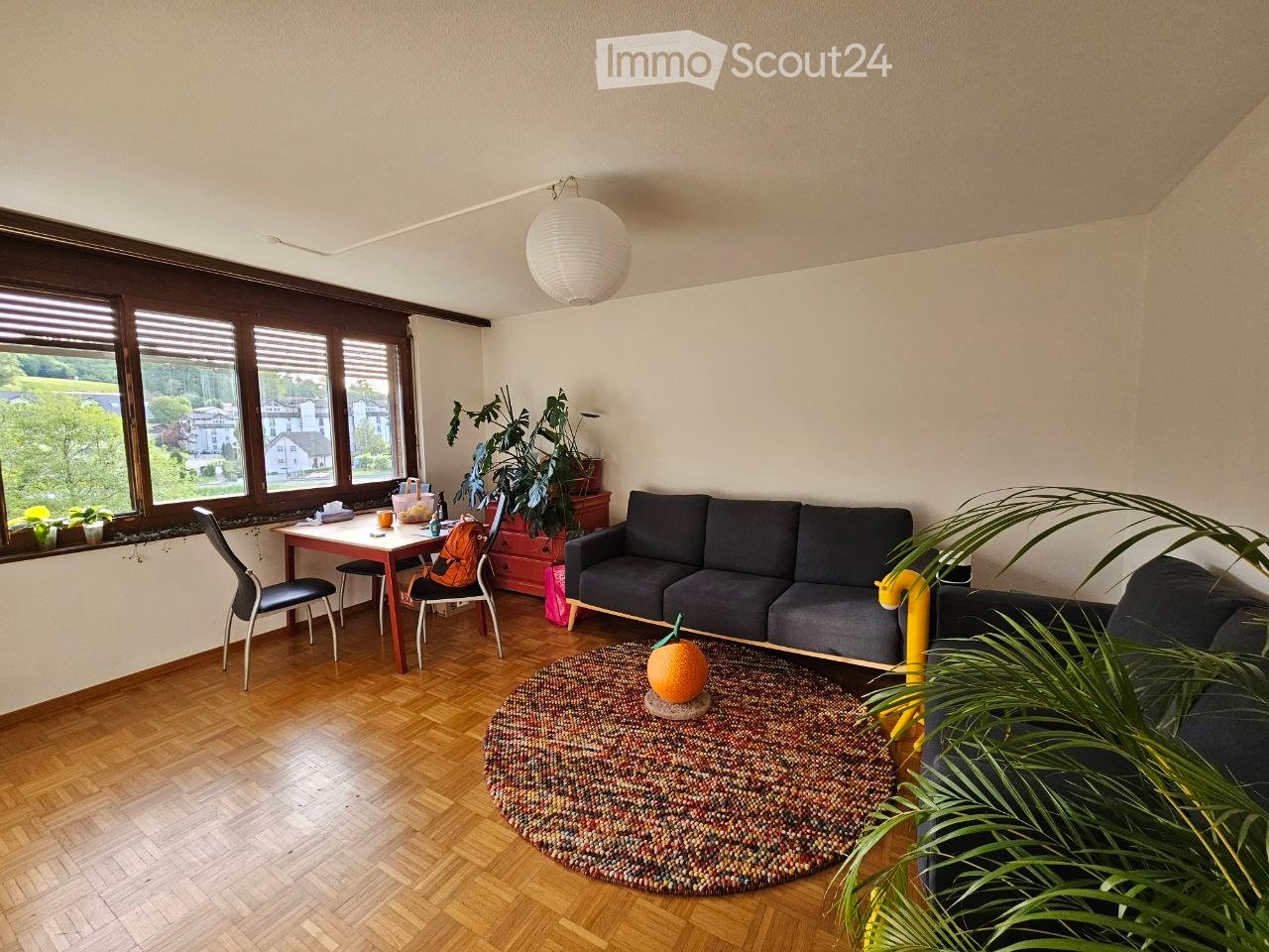 Living room with wooden flooring, large windows, sofa, coffee table, chairs, and plants.