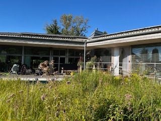Modern building with large glass windows and a flat roof, surrounded by a lush green garden area with tall grasses and wildflowers.