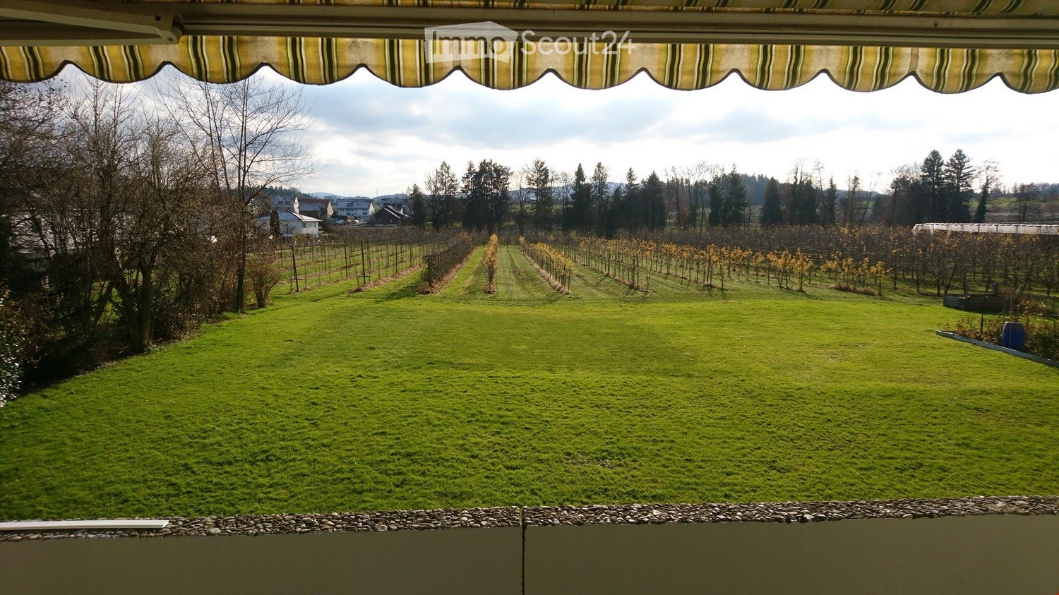 View from a balcony or terrace showing a well-maintained lawn, rows of grapevines, and distant houses and trees under a partly cloudy sky.