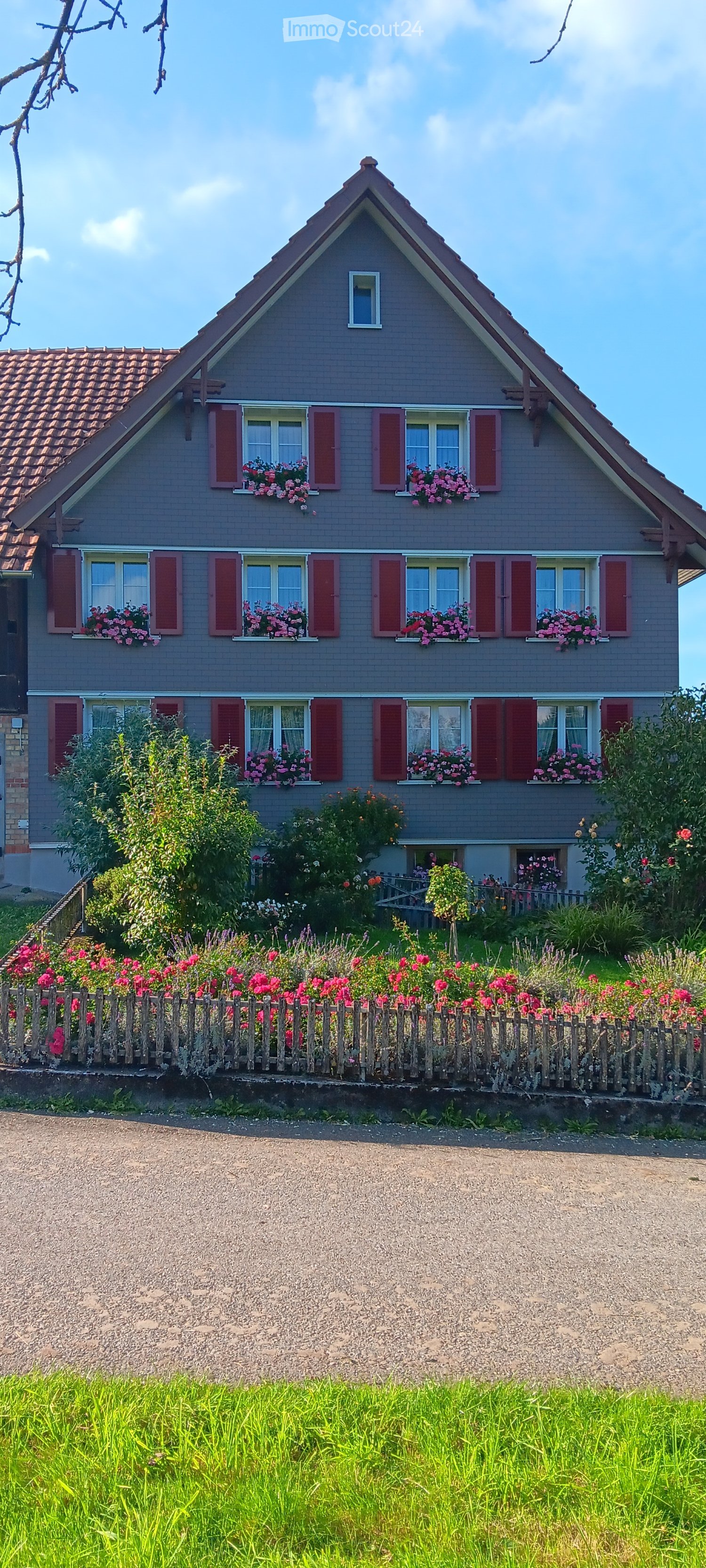 2 story house, red shutters, multiple flower boxes, green lawn, wooden fence