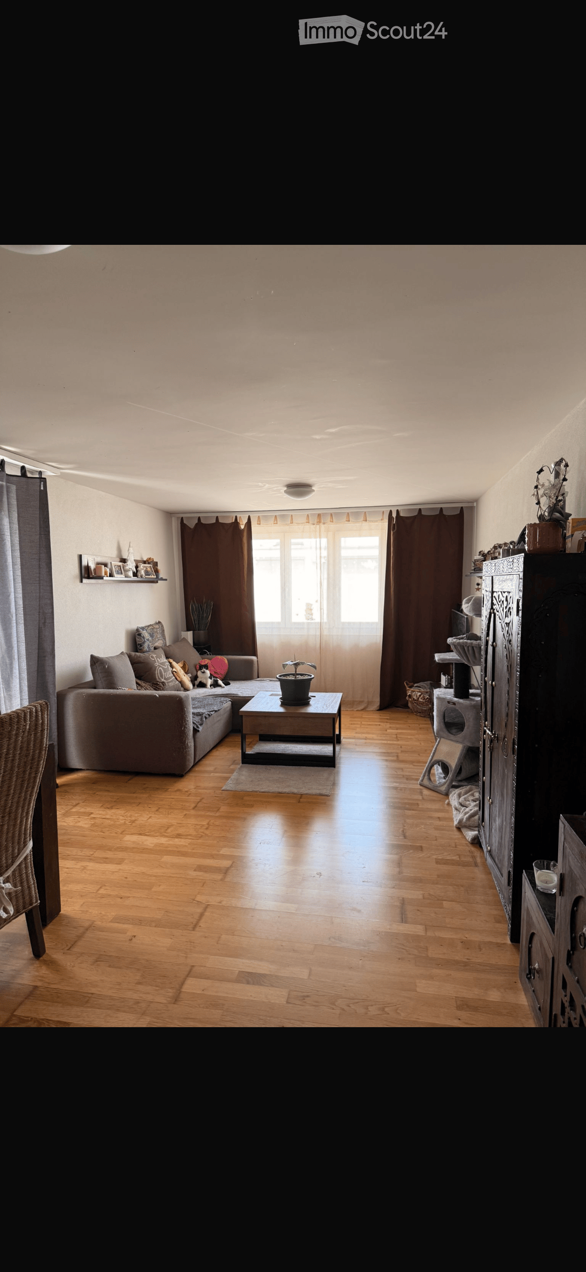 Living room with wooden flooring, large window with curtains, grey sectional sofa, coffee table, cat tree, and decorative items on shelves.