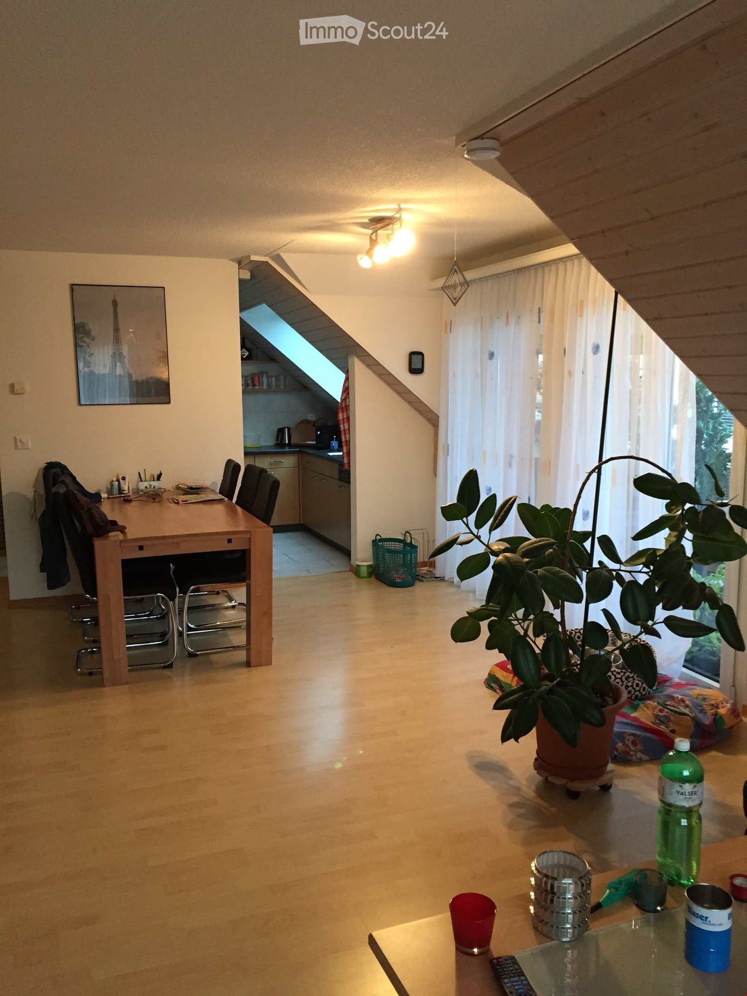 Bright, open living space with wooden flooring, large windows, a dining table with chairs, a kitchen area, and a potted plant near the window.