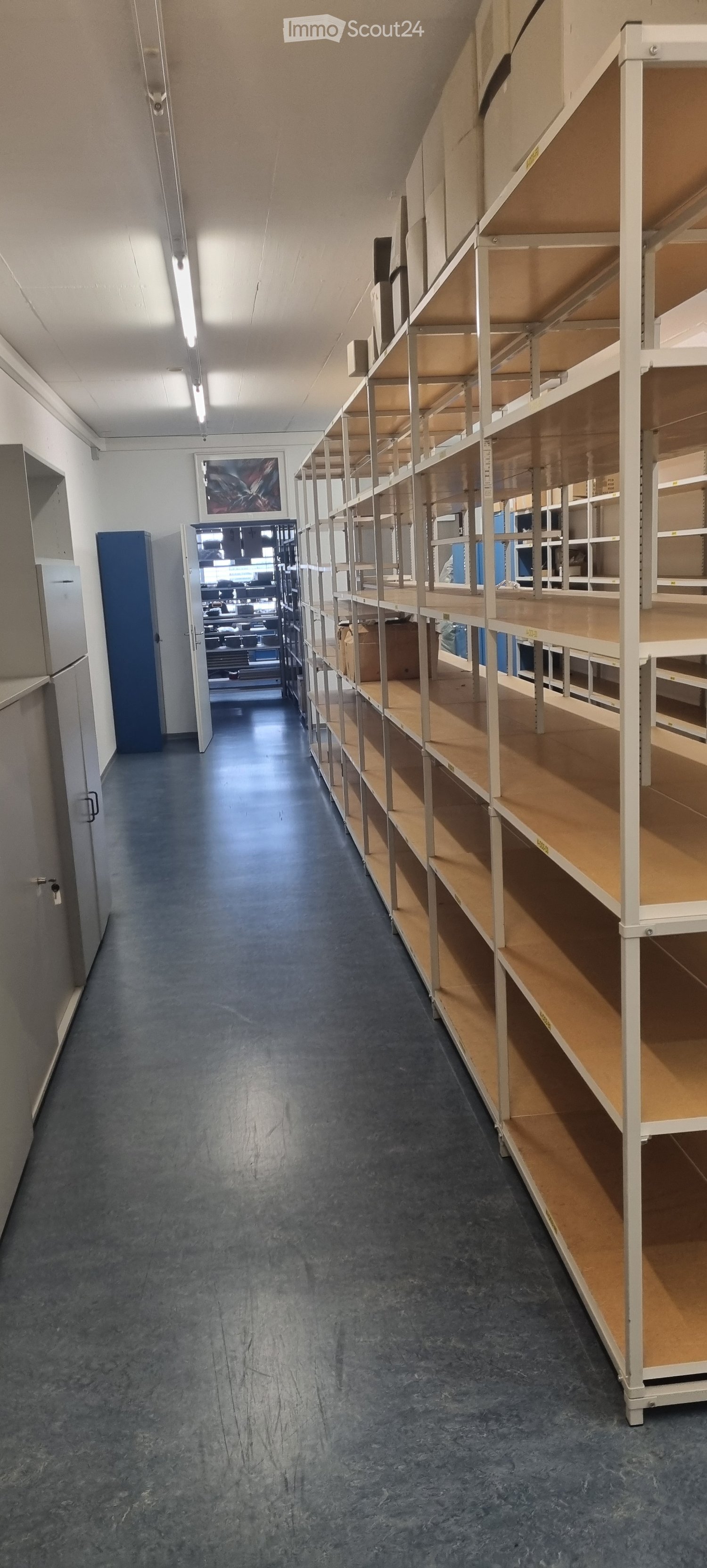 Empty hallway with grey carpeted floor, white walls, and tall wooden shelving units on the right side. A door at the end leads to another room.