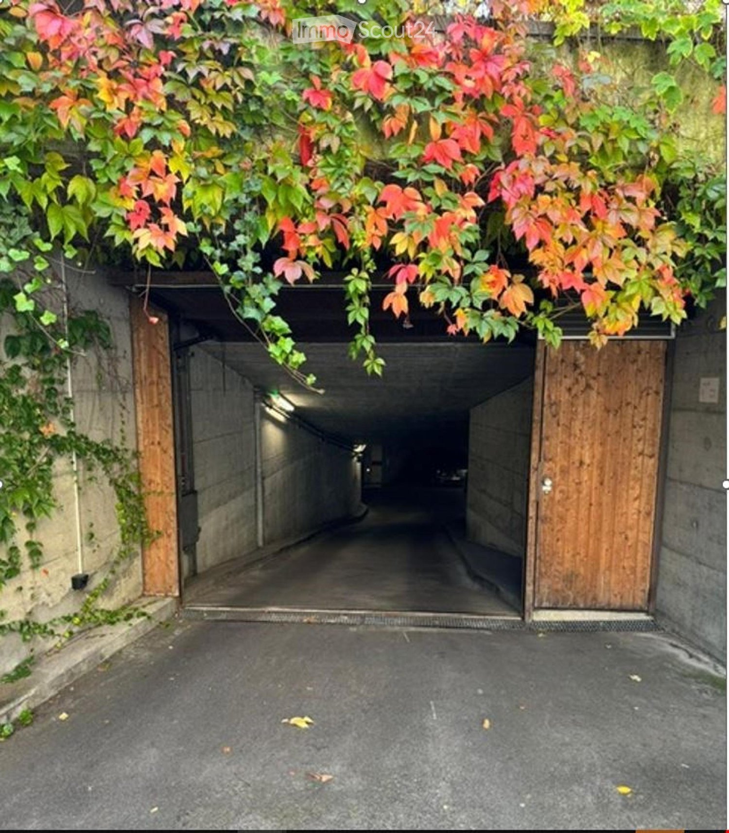 A narrow driveway with wooden garage doors, surrounded by climbing plants with colorful leaves.