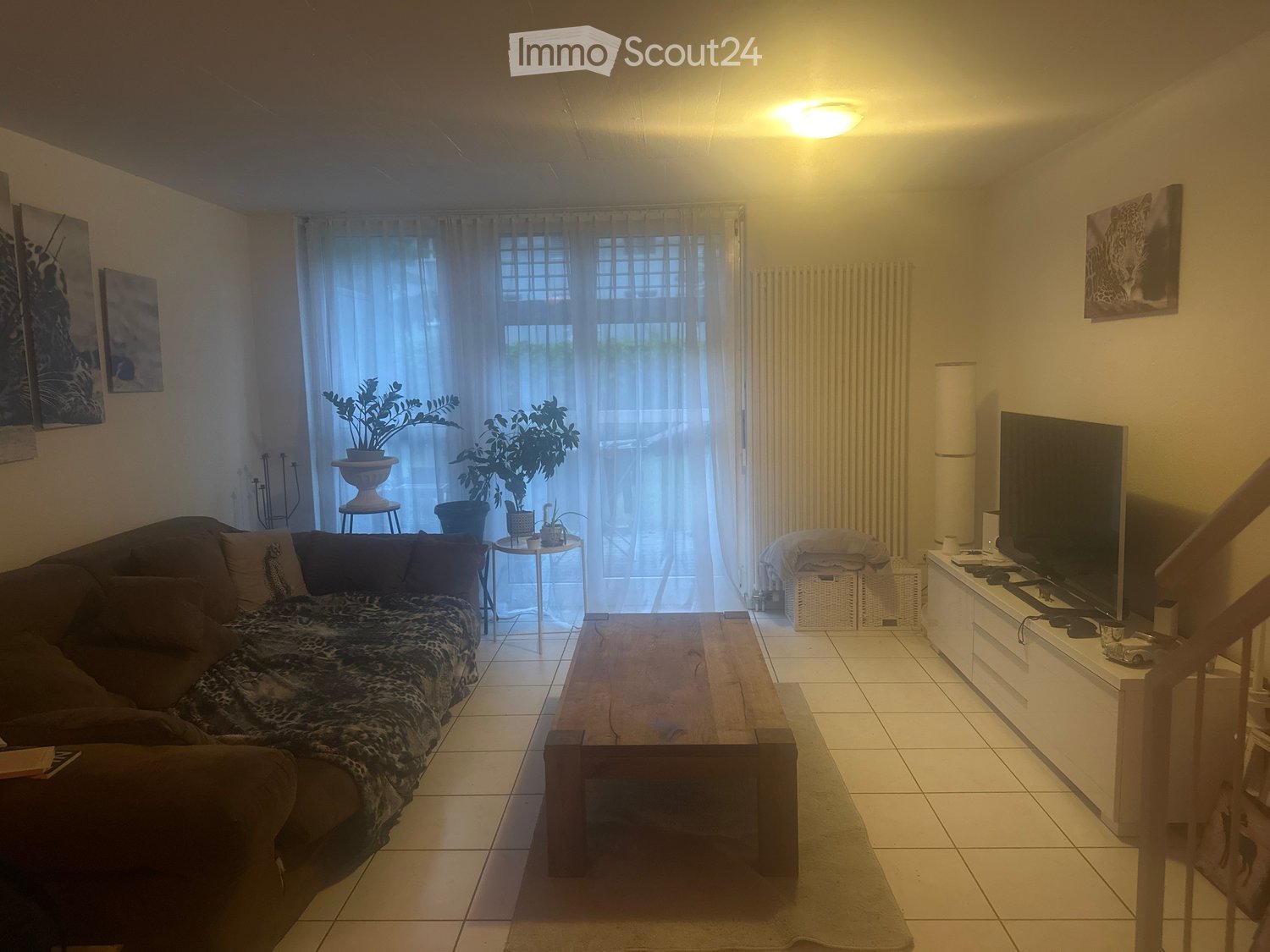 Living room with a sofa, coffee table, television, small table with plants, and a radiator near the window.