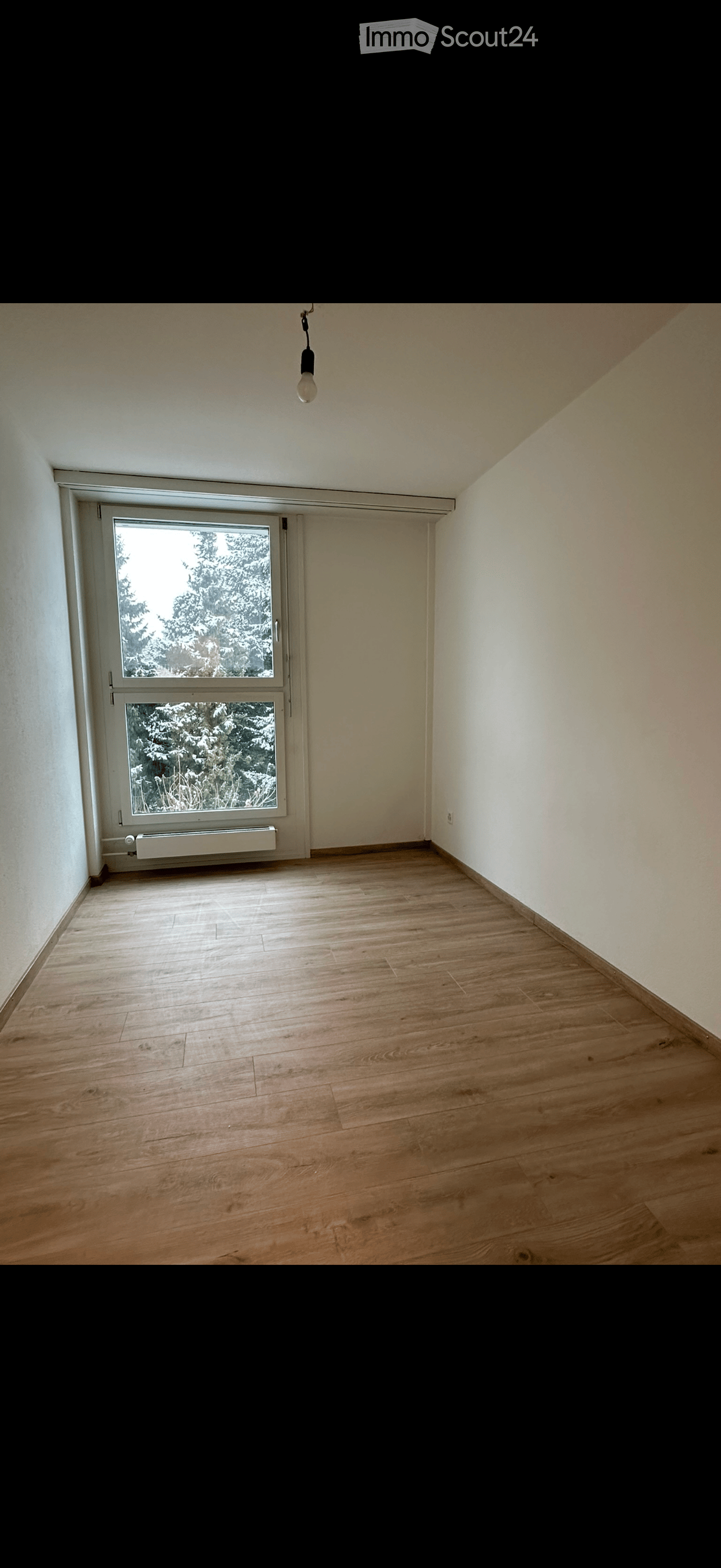 Empty room with wooden flooring, white walls, and a large window with a view of snow-covered trees. A radiator is visible below the window, and a single light fixture hangs from the ceiling.
