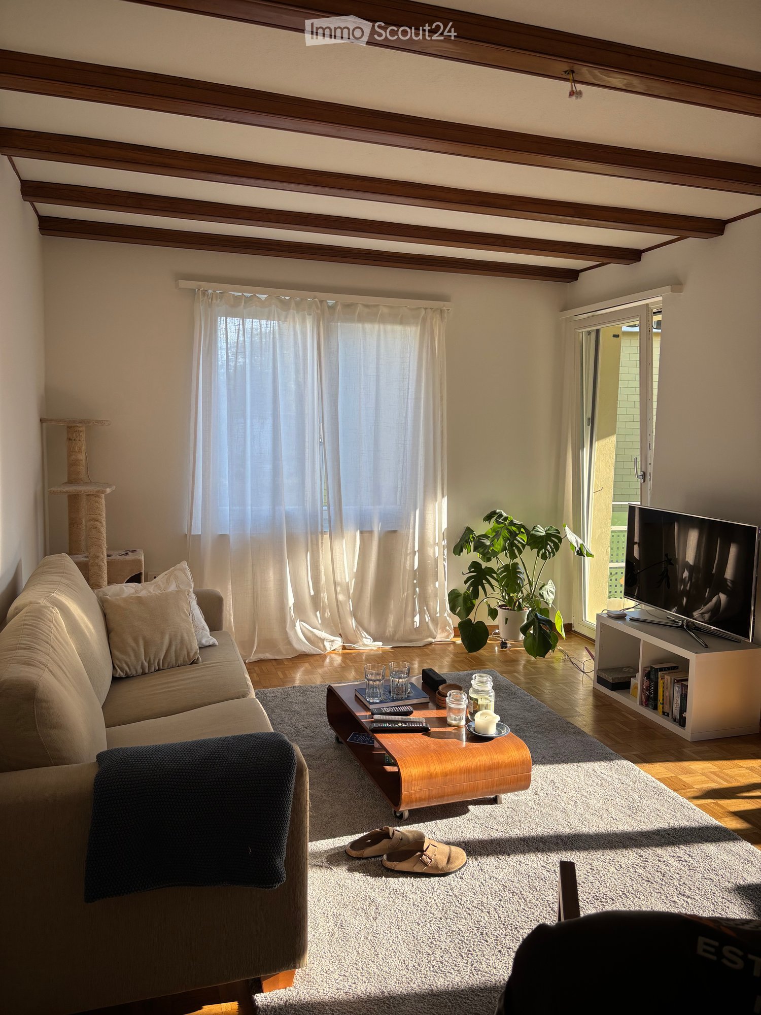 Living room with a beige sofa, wooden coffee table, television, large plant, and cat tree. The room features wooden beams on the ceiling and a large window with white curtains.