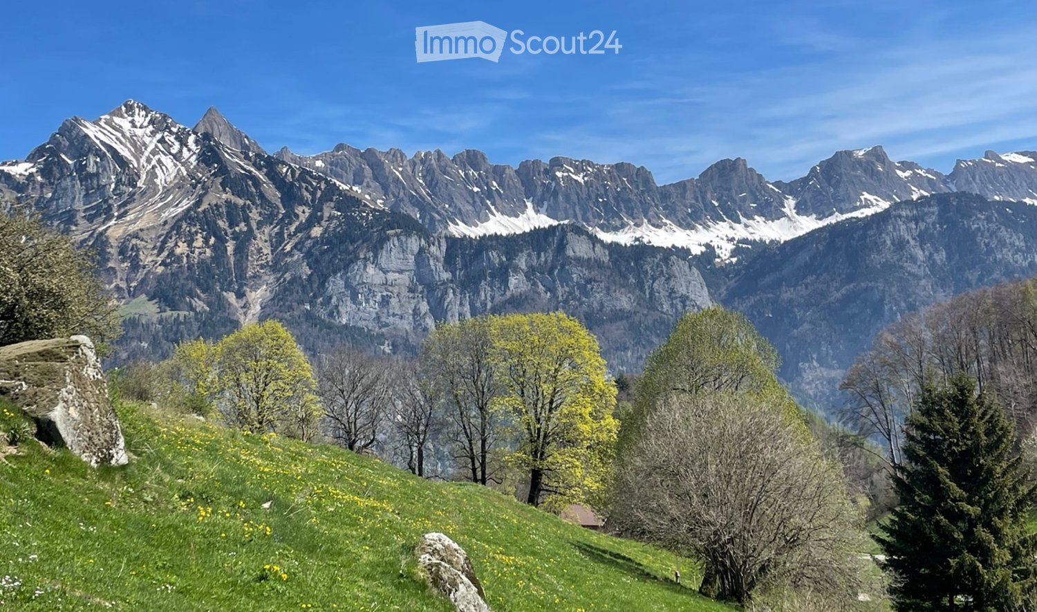 A scenic mountain landscape with snow-capped peaks, green meadows, and scattered trees. The foreground features a grassy slope with wildflowers and rocks, while the background showcases towering, rugged mountains under a clear blue sky.