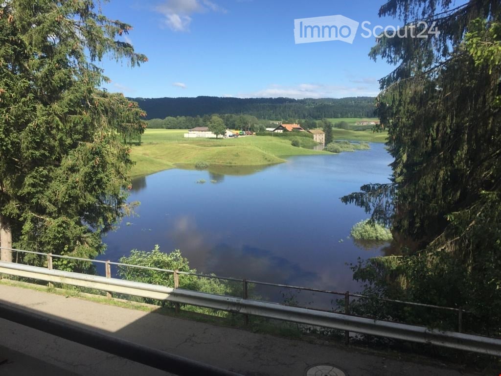 Garden / Outdoor Area. A serene view of a river surrounded by lush green trees and fields, with a few houses visible in the distance under a clear blue sky.