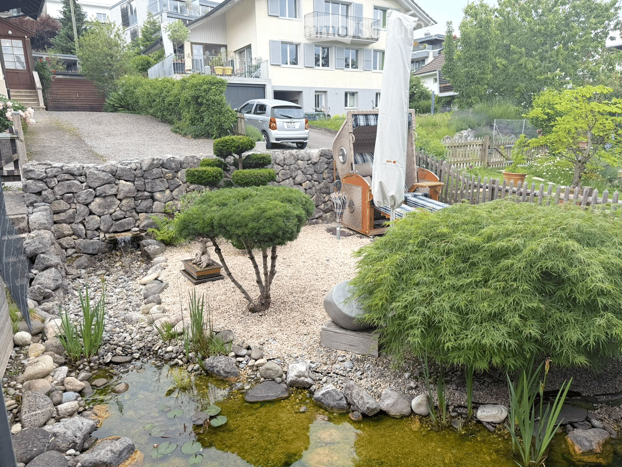 A serene garden with a small pond, stone pathways, and various plants, including a small tree and shrubs, surrounded by a stone wall and a wooden fence.