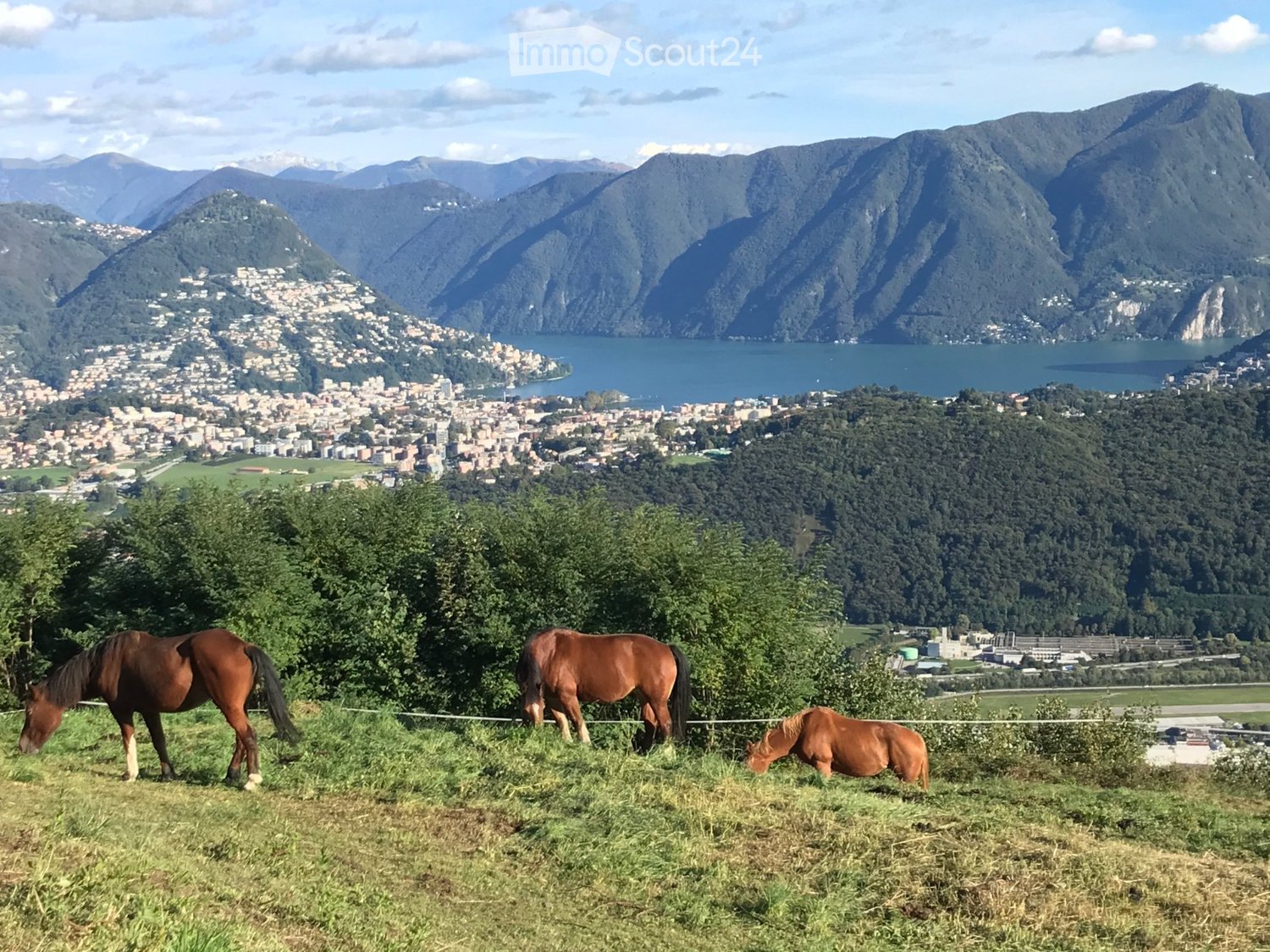Mountain view with a lake, city and buildings in the distance, and horses grazing
