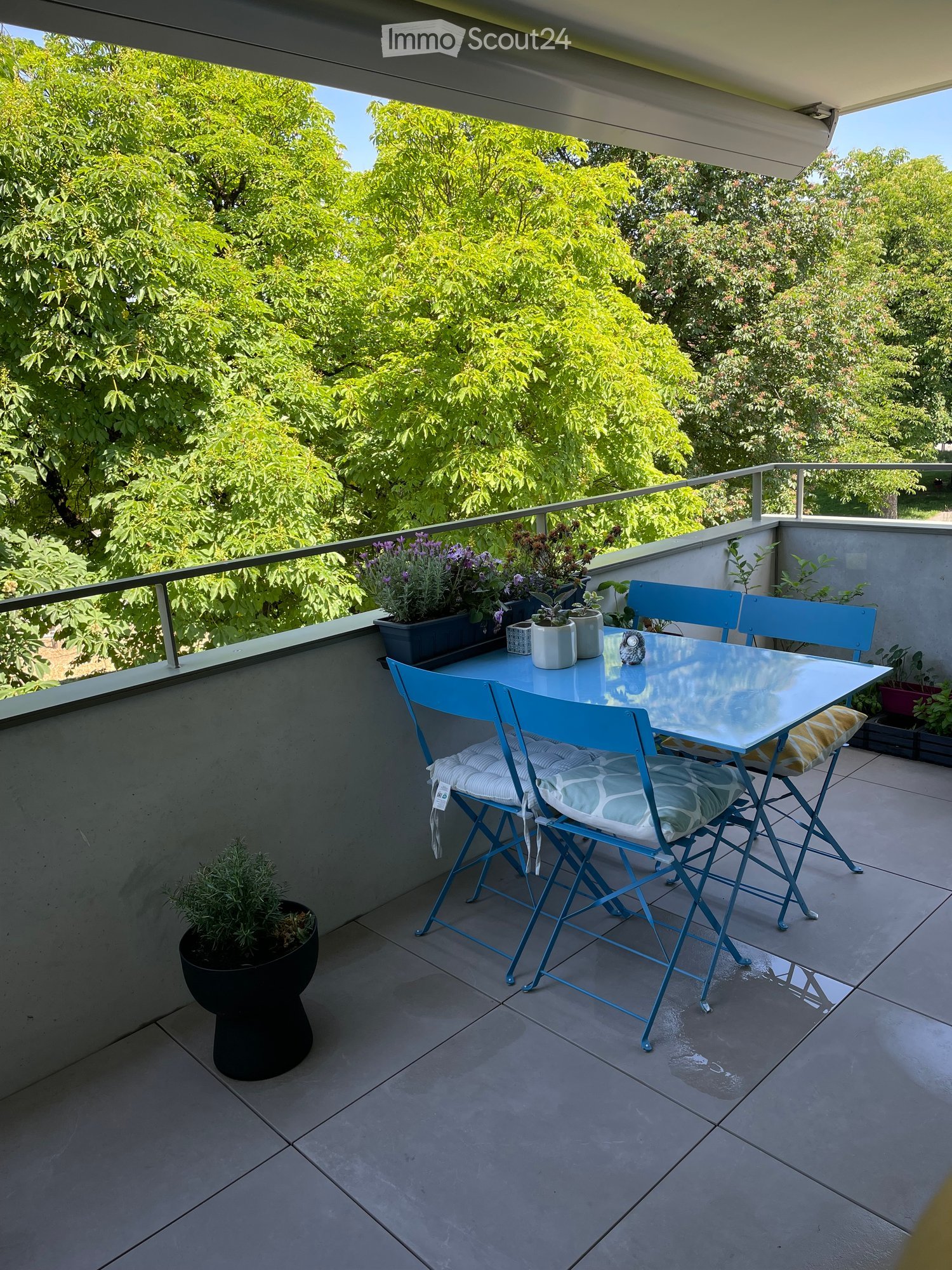 Balcony with a glass table, four blue chairs, and several potted plants.