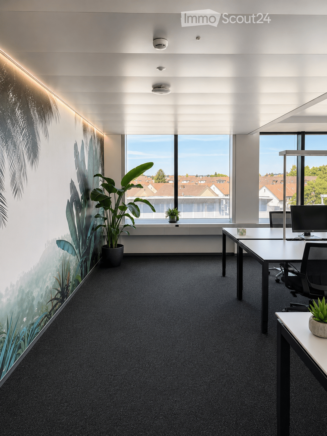 Modern office space with large windows, grey carpet, white walls, and a large leafy plant in a pot. A desk with a computer and chair is positioned near the window, with additional smaller plants on the desk.