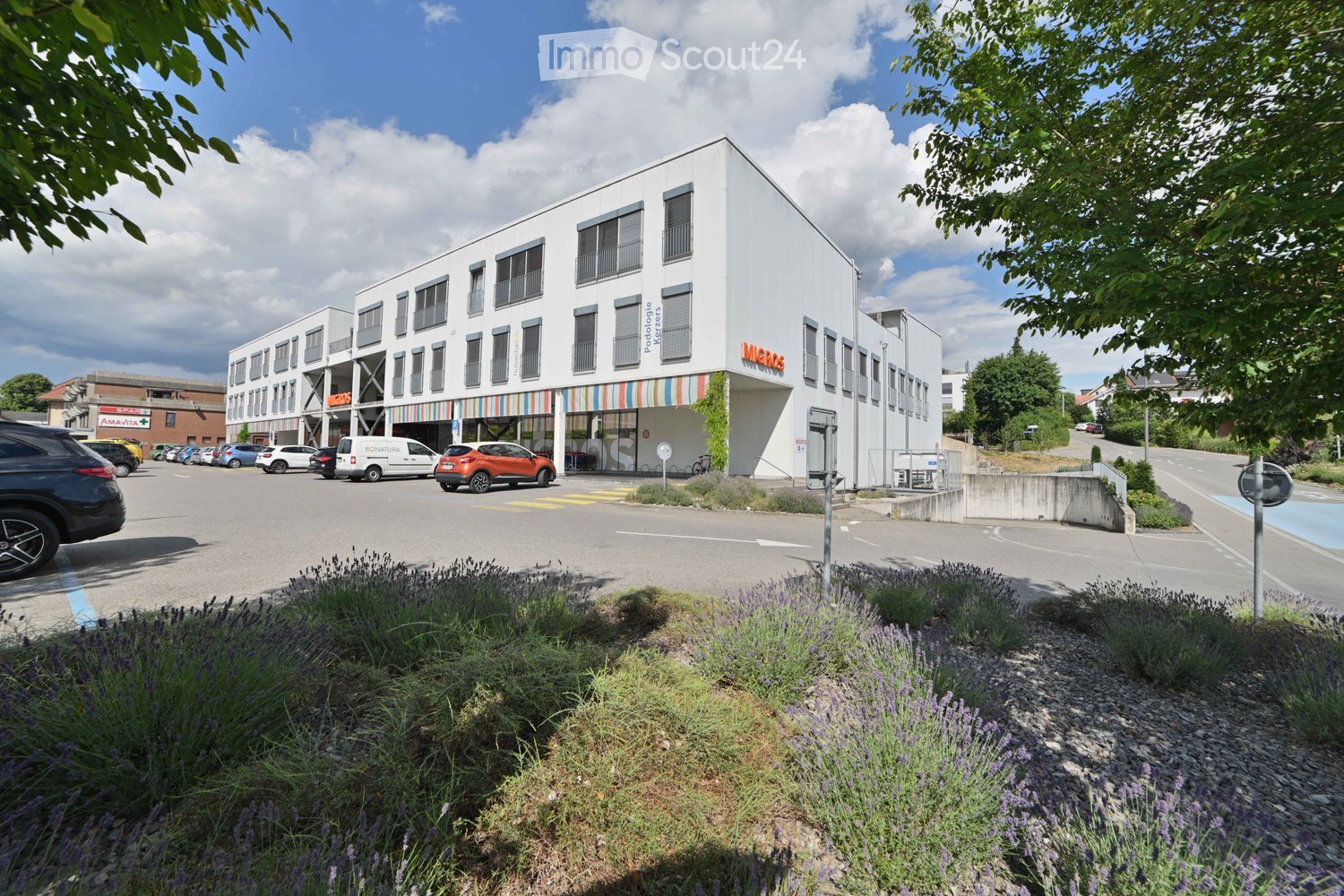 Modern multi-story building with white facade and large windows, surrounded by a parking lot with several cars and a landscaped garden area with lavender plants.