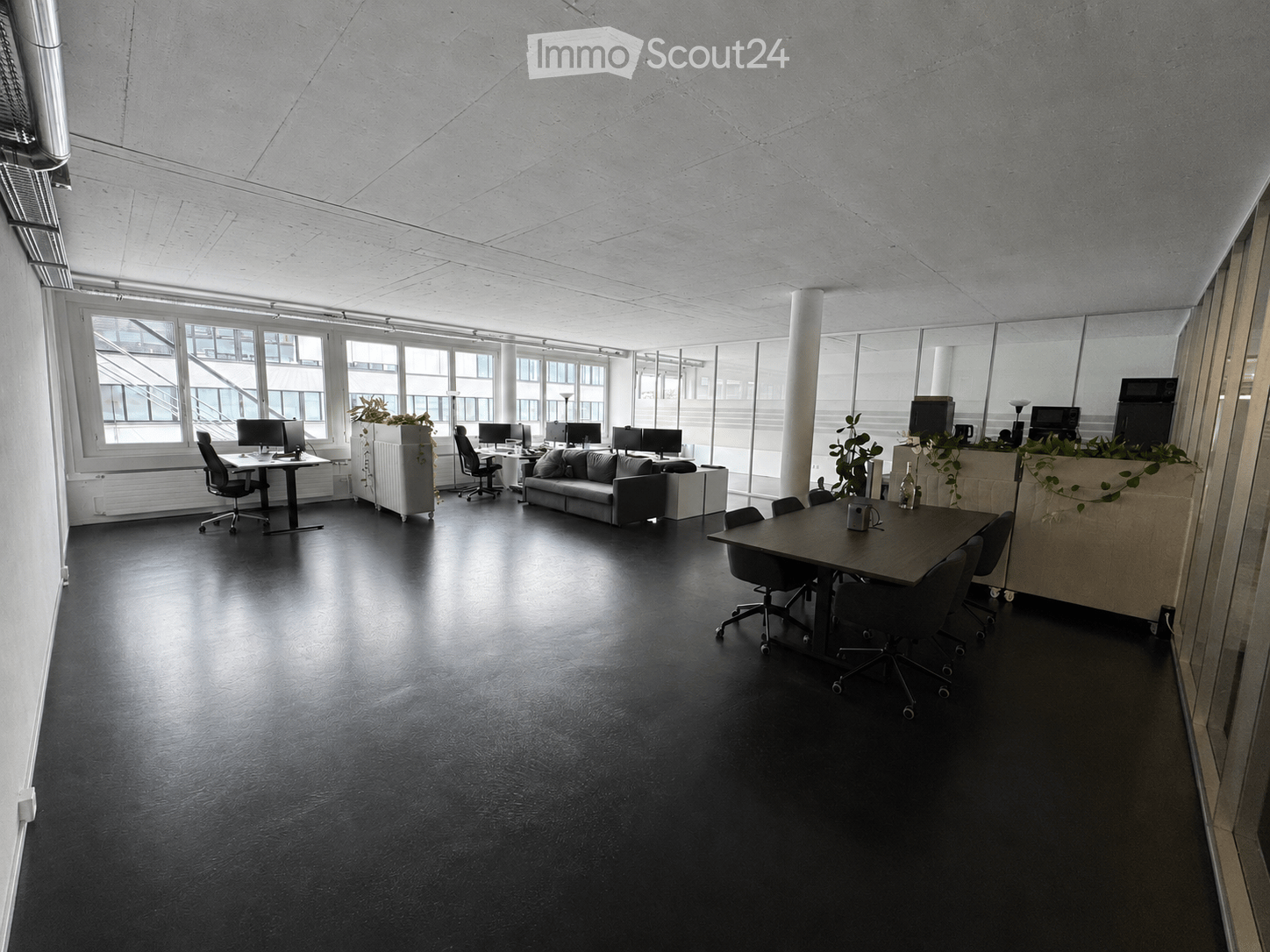 Modern office space with black flooring, large windows, office desks, chairs, a sofa, and plants.