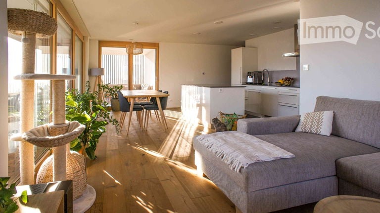 Open-plan living and dining area with a grey sectional sofa, coffee table, cat tree, dining table with chairs, and a modern kitchen with white cabinets and stainless steel appliances.