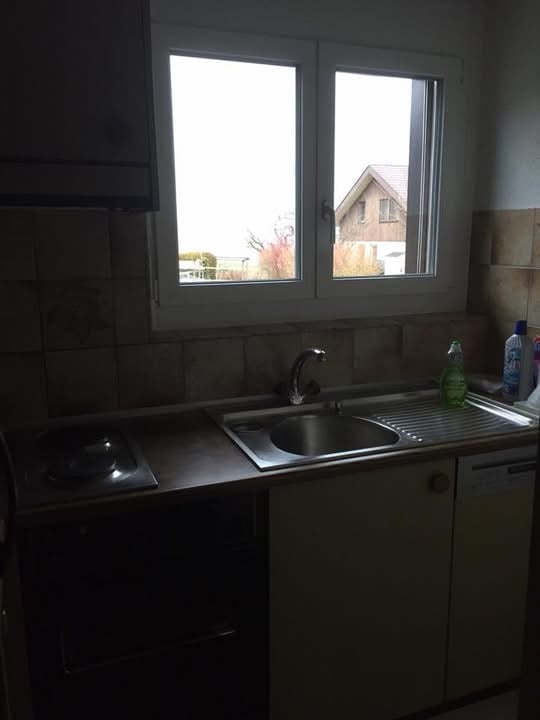 A small kitchen with a sink, stove, and dishwasher. There are two windows above the sink, and a bottle is placed on the counter.