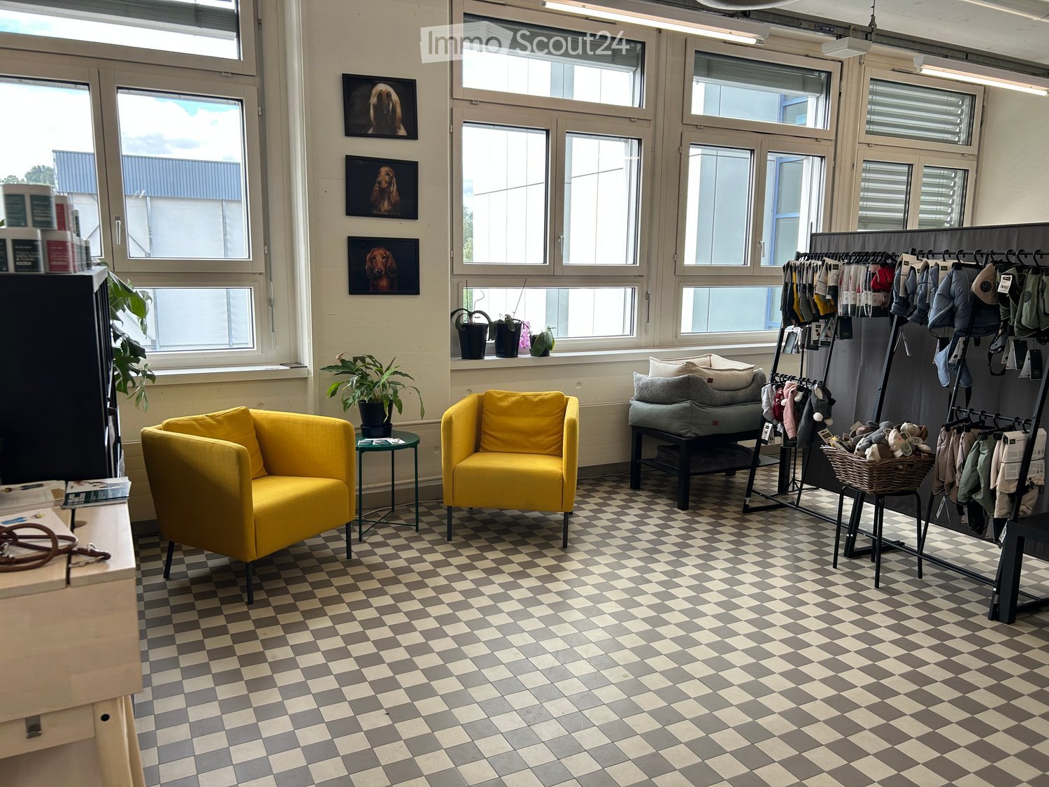 Bright, modern room with checkered flooring, large windows, two yellow armchairs, a small table with a plant, a clothing rack with various items, and a basket on the floor.