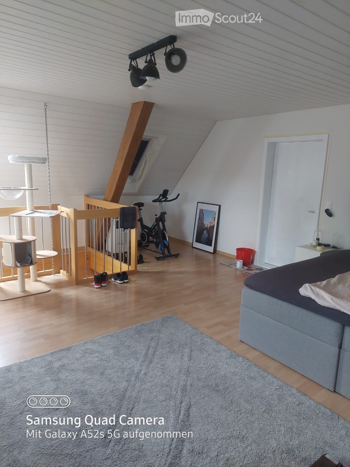 Furnished Room. A well-lit attic bedroom with wooden floors, a grey sofa, a cat tree, an exercise bike, and a picture frame on the wall.