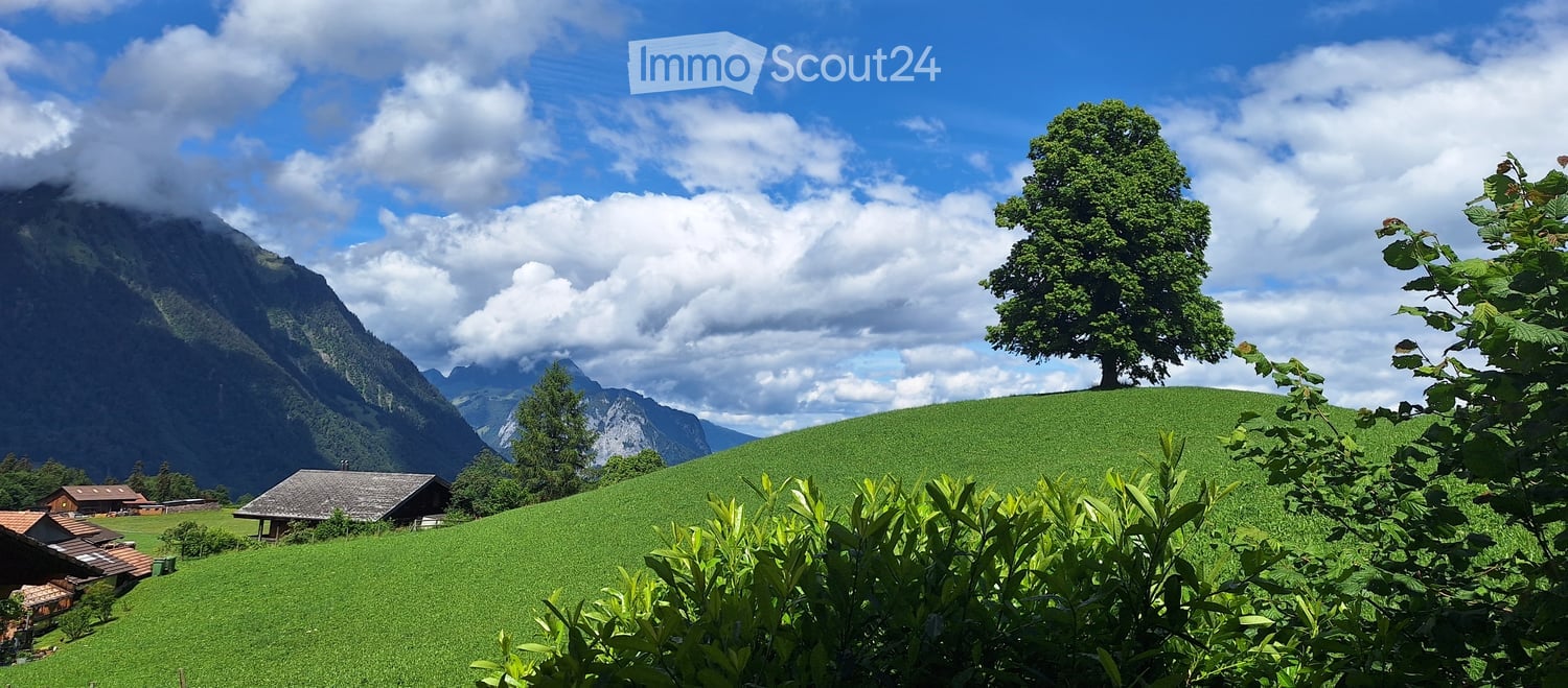 A lush green meadow with a solitary tree, surrounded by mountains under a partly cloudy sky. Small wooden structures are visible in the distance.